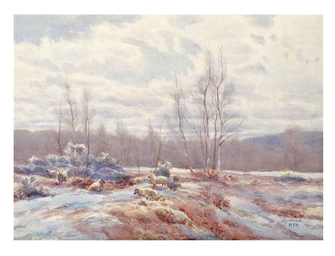 Sheep on Wimbledon Common, watercolour, 1889