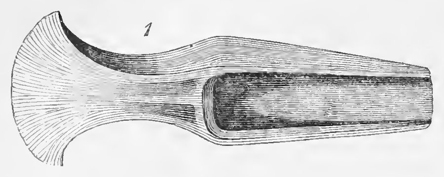 Bronze hatchet found on Kingston hill (Brayley, No. 1)