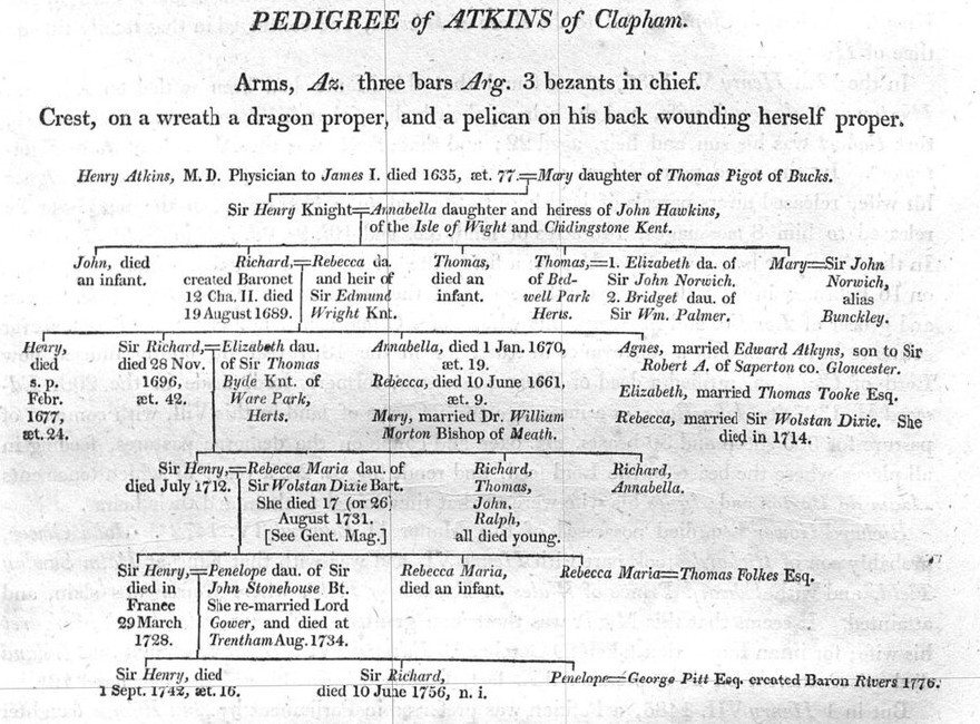 Pedigree of Atkins of Clapham, from Manning and Bray's History of Surrey